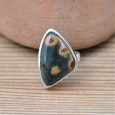 Bague dissymétrique en argent et pierre Jaspe orbiculaire T52 Bague dissymétrique en argent et pierre Jaspe orbiculaire T52