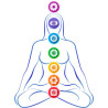 Pendentif argent fleur de vie 7 chakras 7 pierres rondes facettées