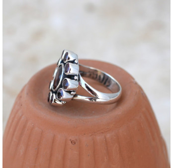Bague fleur 11 pierres facettées en Grenat T54