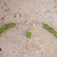 Collier pierres naturelles galets en Péridot