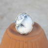 Bague haute pierre griffée en Agate dendrite bombée T57