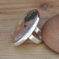 Très grosse bague ronde en Jaspe océan et argent (vert) (parme) T60 Très grosse bague ronde en Jaspe océan et argent (vert) (parme) T60